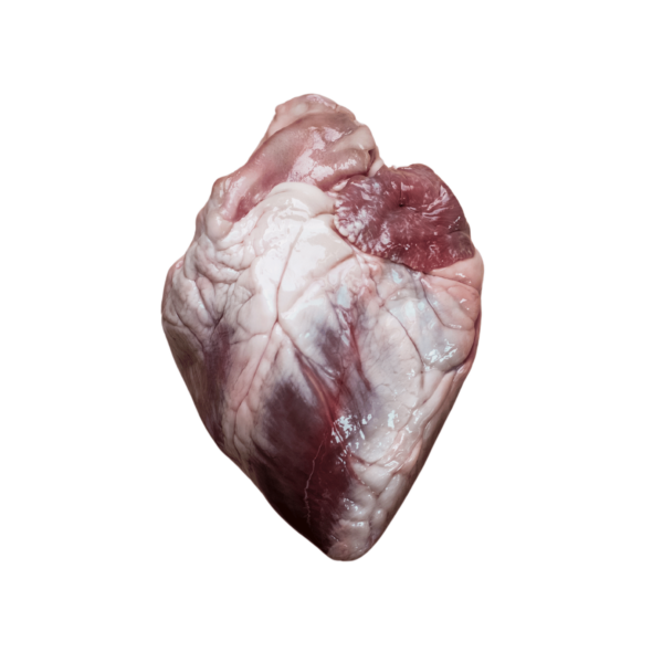 Coeur d’agneau